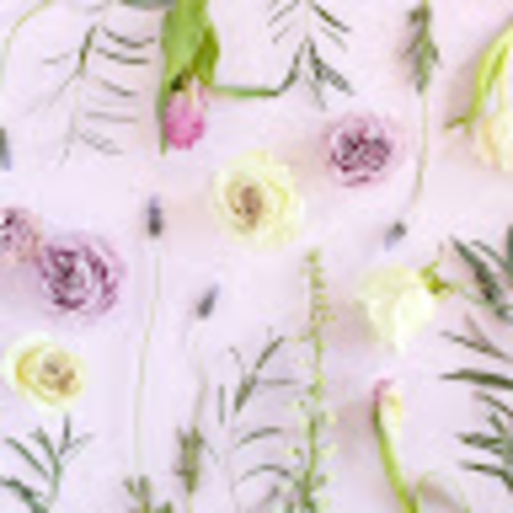 Meet your Posher, Eleanor